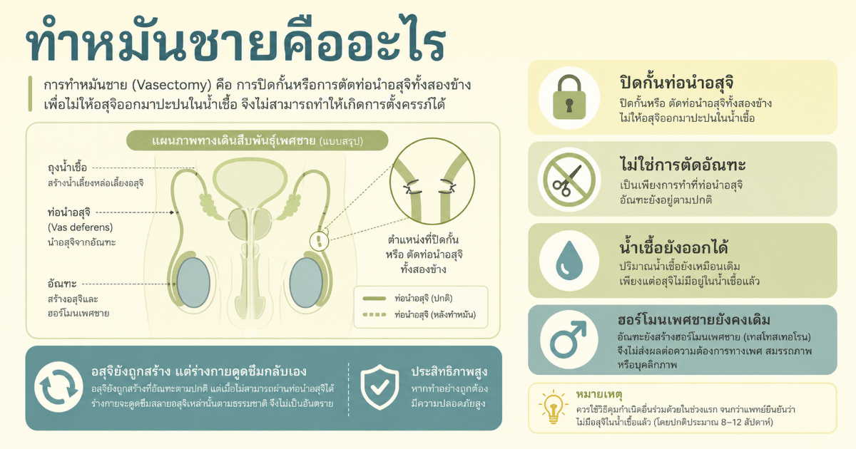 ทำหมันชายคืออะไร