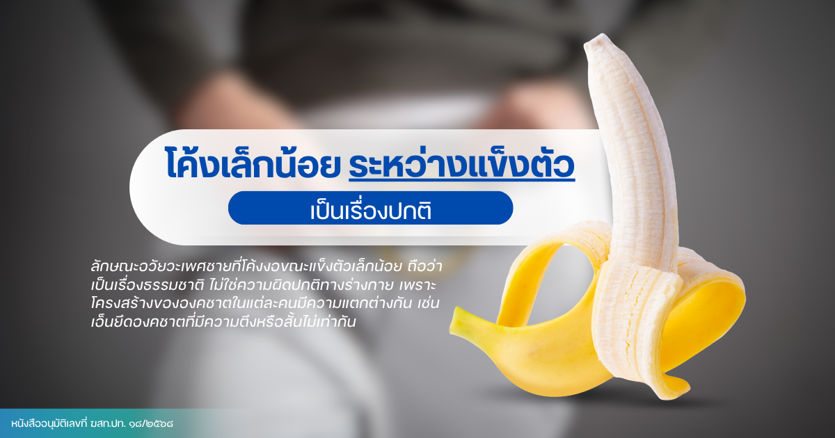 Erection - eternityclinicdoctorbeer อวัยวะเพศชายที่โค้งงอ