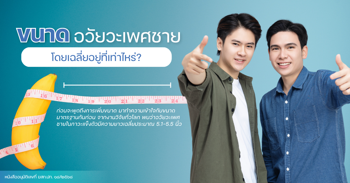 ขนาดอวัยวะเพศชาย