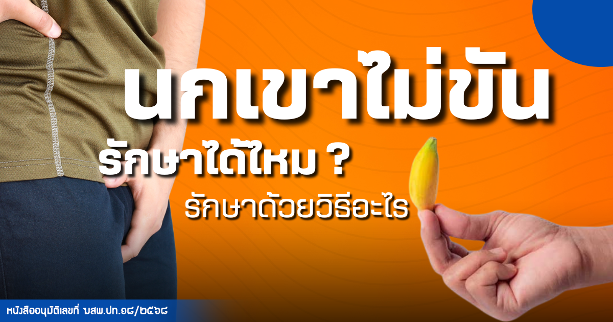sdf - eternityclinicdoctorbeer นกเขาไม่ขัน