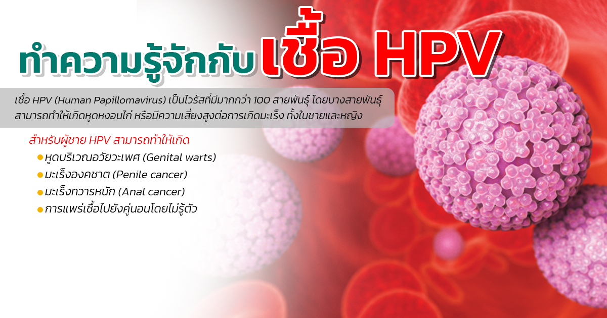 ขลิบไร้เลือด