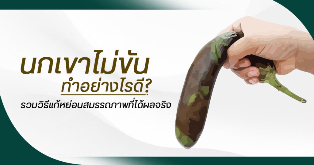 นกเขาไม่ขัน ทำอย่างไรดี รวมวิธีแก้หย่อนสมรรถภาพที่ได้ผลจริง - eternityclinicdoctorbeer