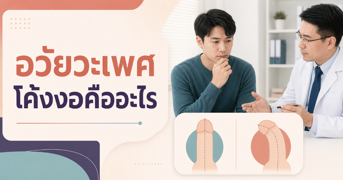อวัยวะเพศโค้งงอคืออะไร