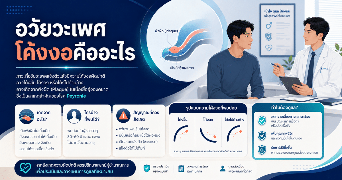 อวัยวะเพศโค้งงอคืออะไร