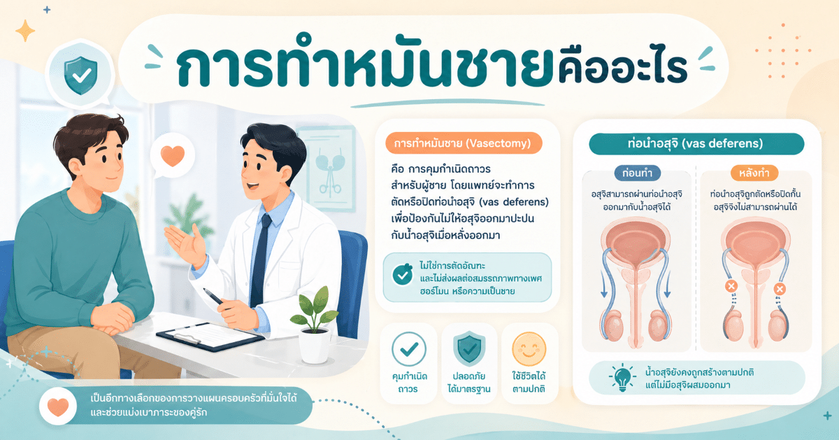 การทำหมันชายคืออะไร
