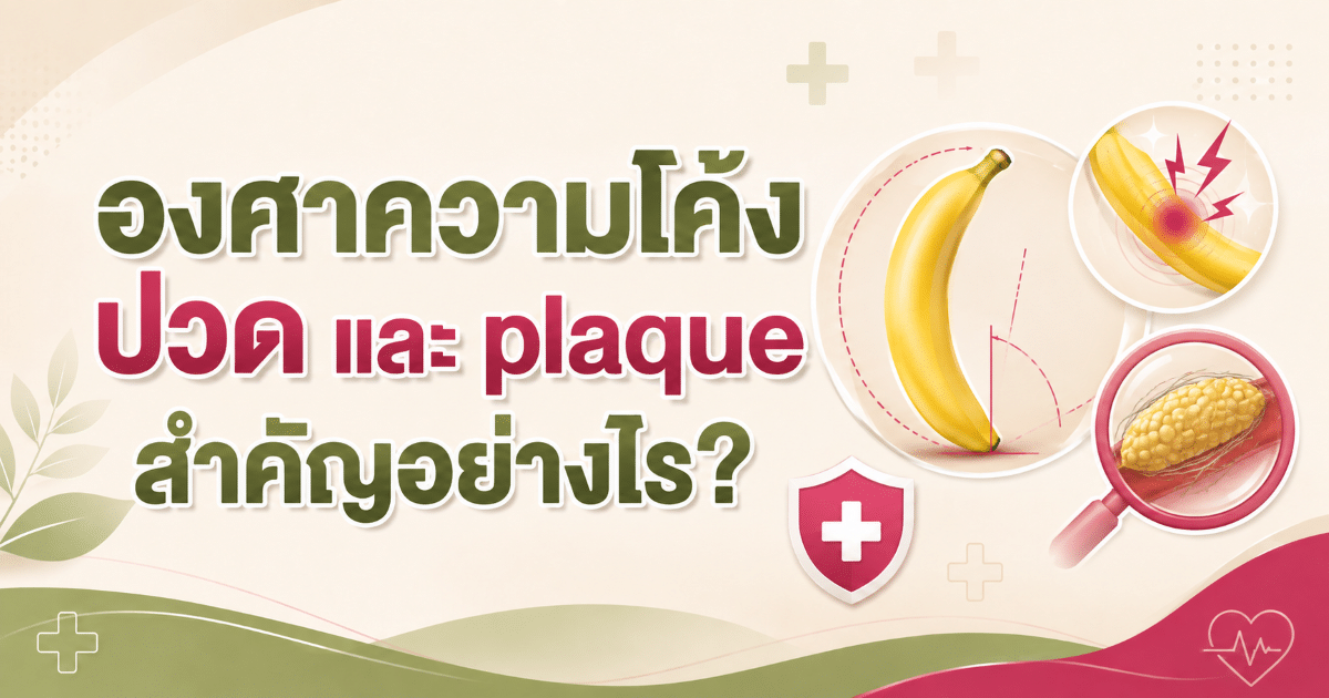 องศาความโค้ง ปวด และ plaque สำคัญอย่างไร?