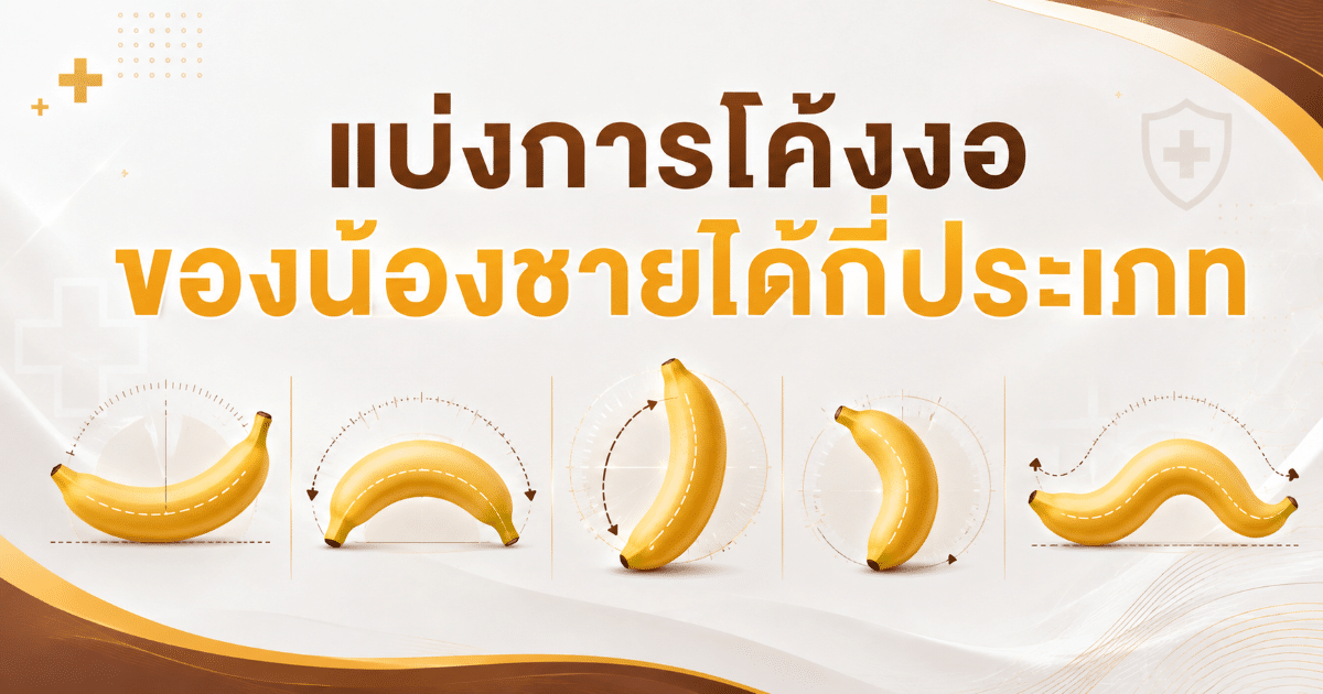 แบ่งการโค้งงอของน้องชายได้กี่ประเภท