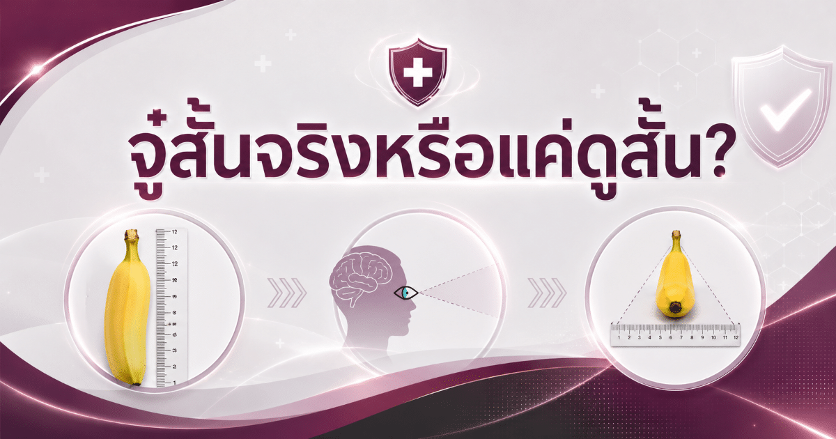 จู๋สั้นจริงหรือแค่ดูสั้น?