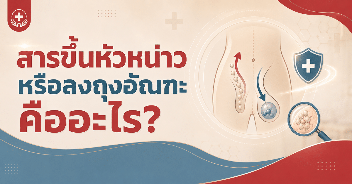 สารขึ้นหัวหน่าวหรือลงถุงอัณฑะคืออะไร?