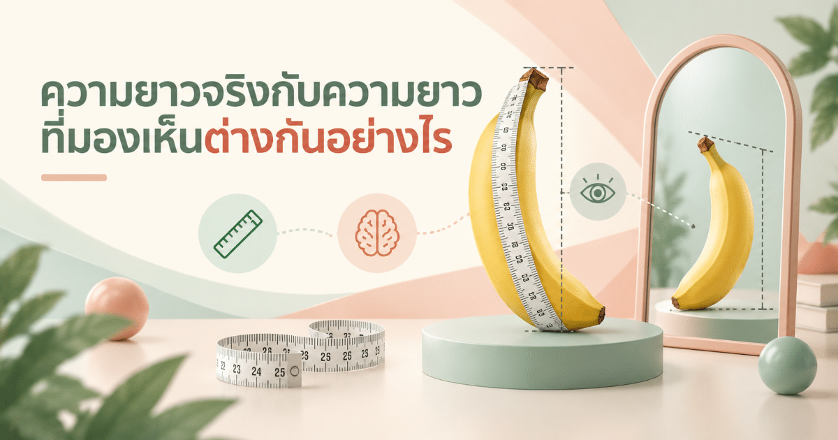 ความยาวจริงกับความยาวที่มองเห็นต่างกันอย่างไร
