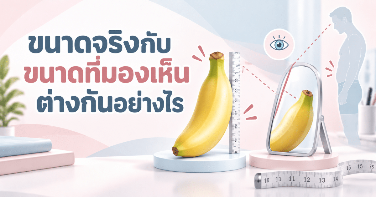 ขนาดจริงกับขนาดที่มองเห็นต่างกันอย่างไร