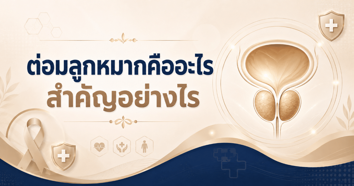 ต่อมลูกหมากคืออะไร สำคัญอย่างไร