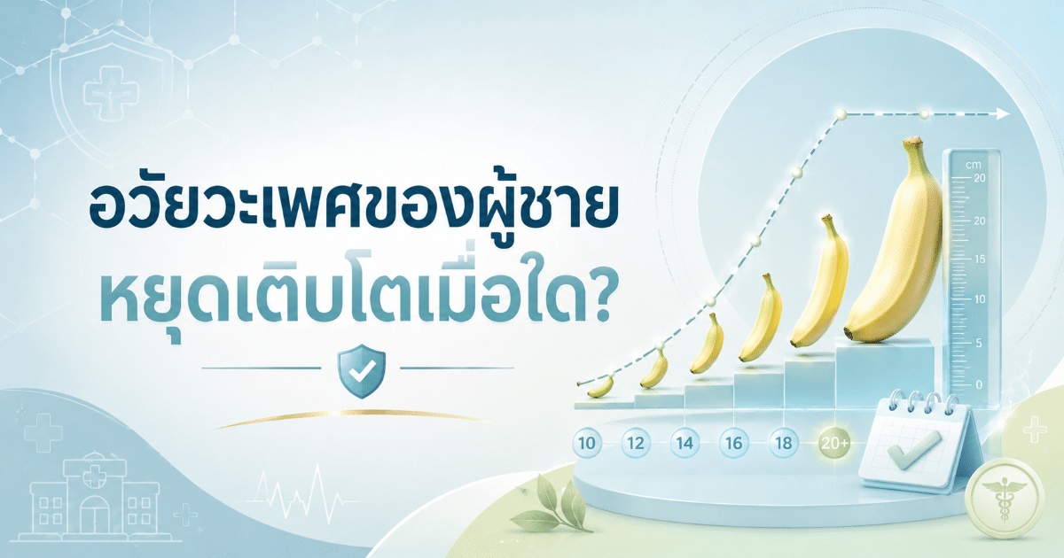 อวัยวะเพศของผู้ชายหยุดเติบโตเมื่อใด?